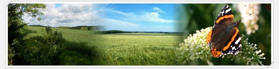 Sorø